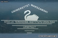 Preparowanie pasożytów z organizmów żab moczarowych (Rana arvalis)