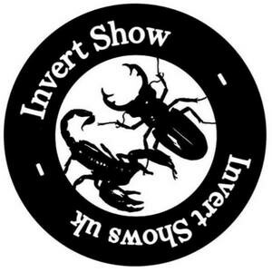 ✅ [Wielka Brytania - Coventry] Central Invertebrate Show - 13 Października 2024