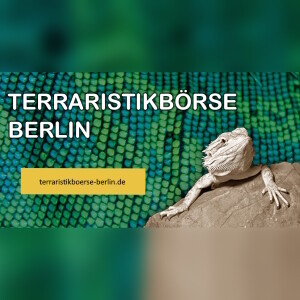 ✅ [Niemcy - Berlin] Terraristikbörse Berlin (13 Października 2024 r.)